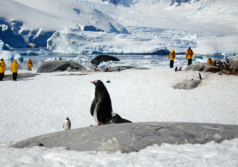 Antarctica