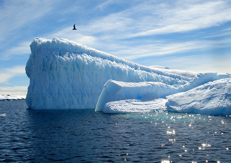 Antarctica