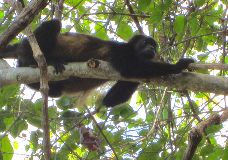 Costa Rica