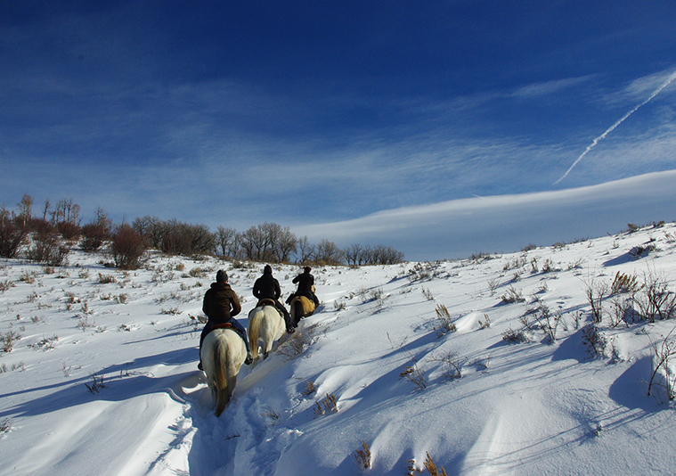 Steamboat