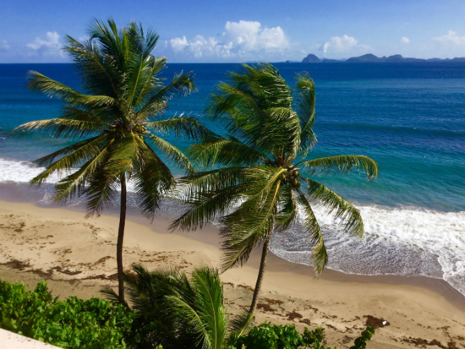 Beach from verandah-w750-h500