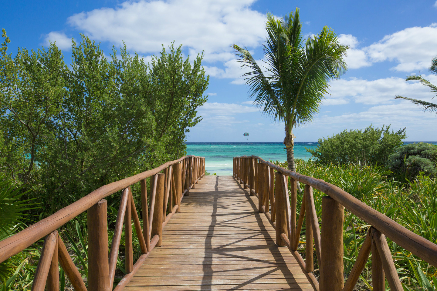 BeachWalkway-w1500-h1000