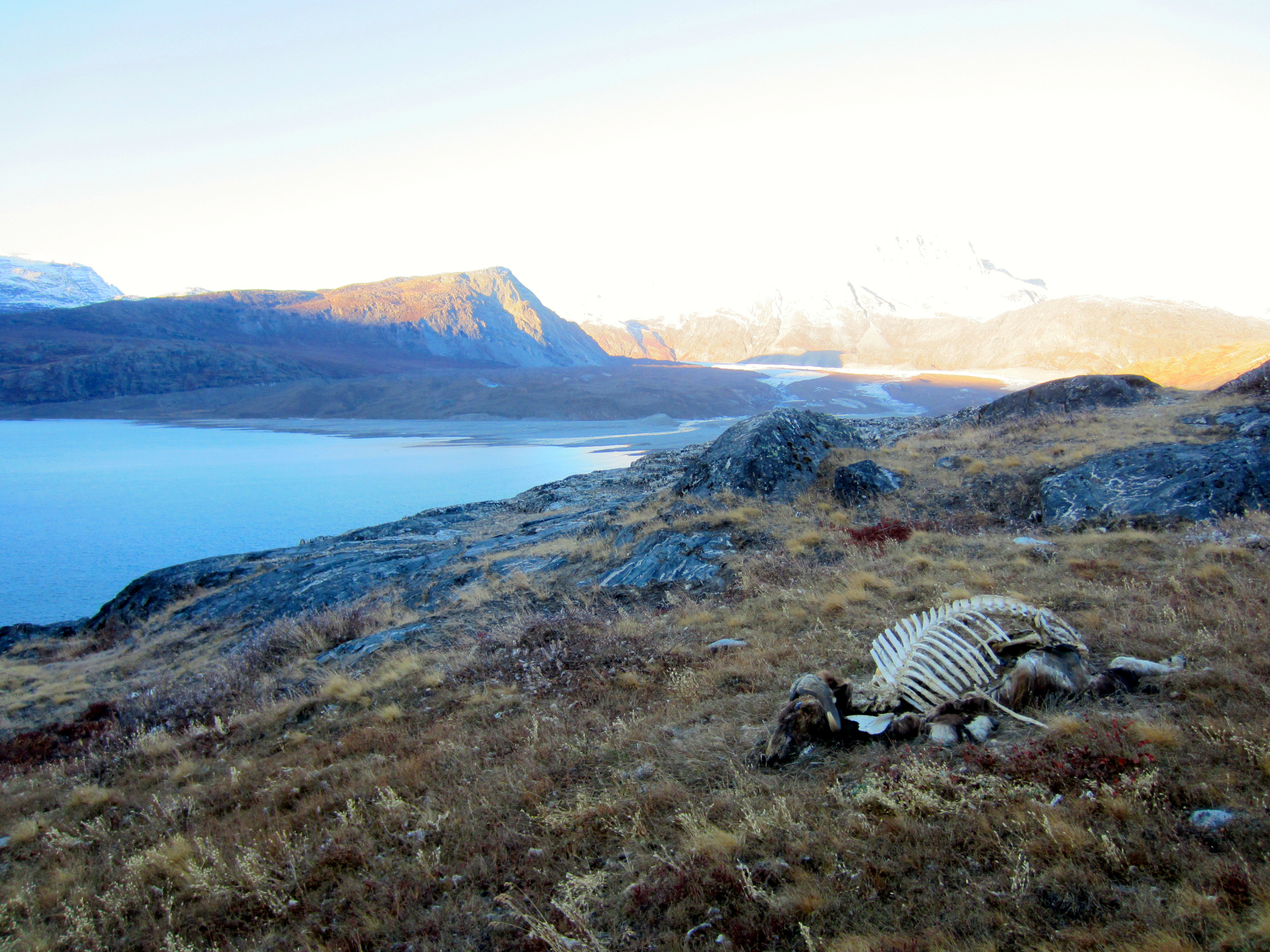 East Greenland